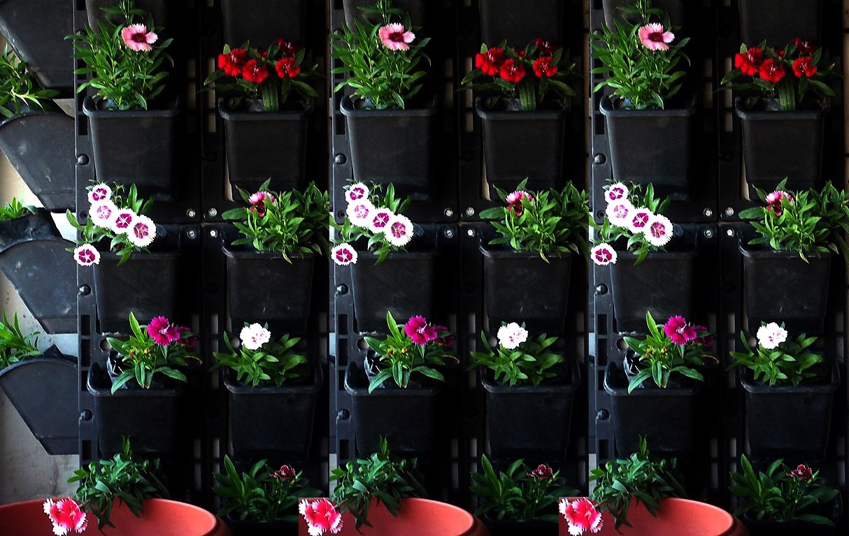Vertical Garden