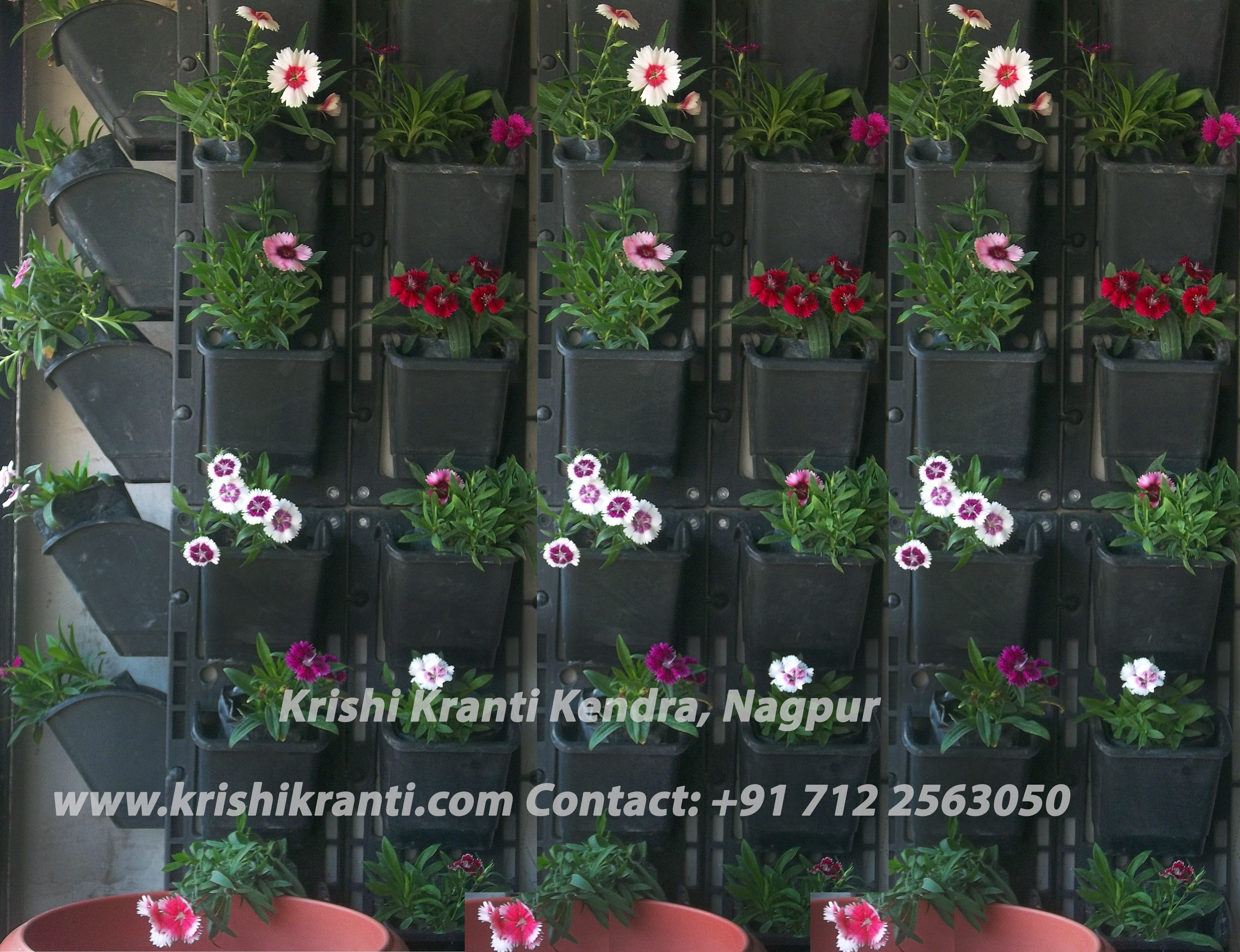 Vertical Garden