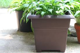 Plastic Pots