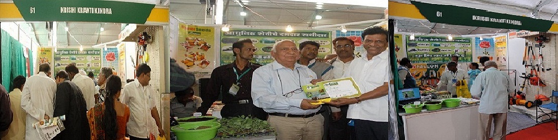 exibition